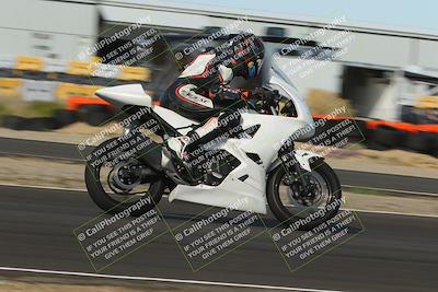 media/Dec-17-2022-SoCal Trackdays (Sat) [[224abd9271]]/Turn 16 Exit (1110am)/